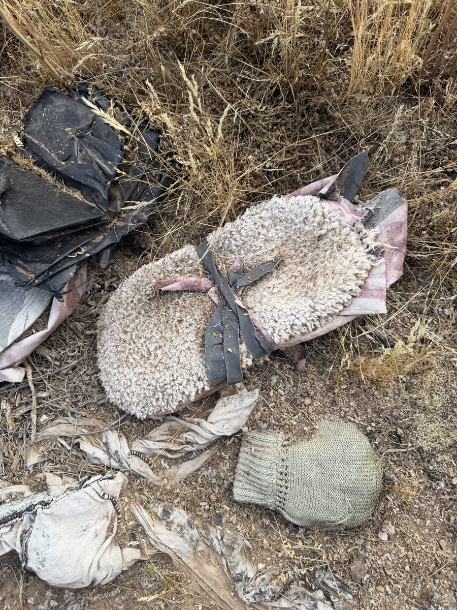 Dad's Gone Live tweet media