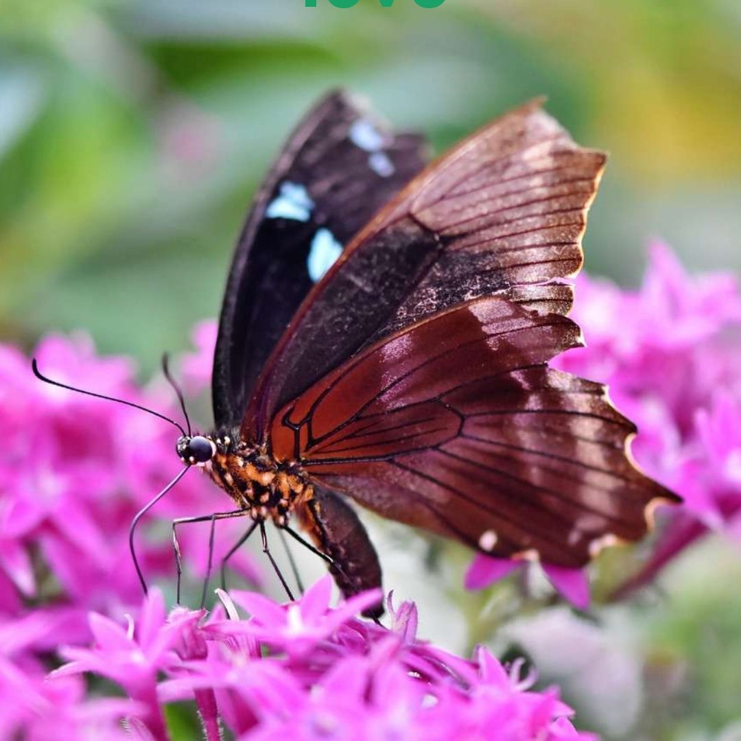 Harish Ajwani tweet media