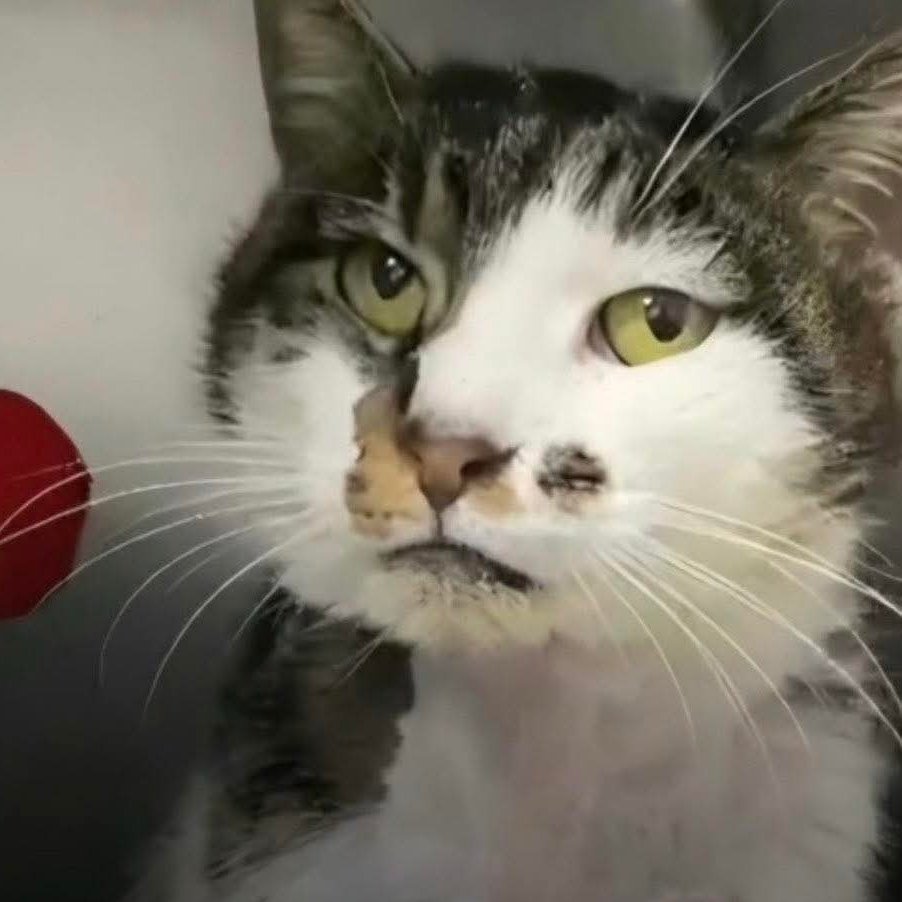 TINA (Stan Account-Le gif di Tina) 🎀 tweet media