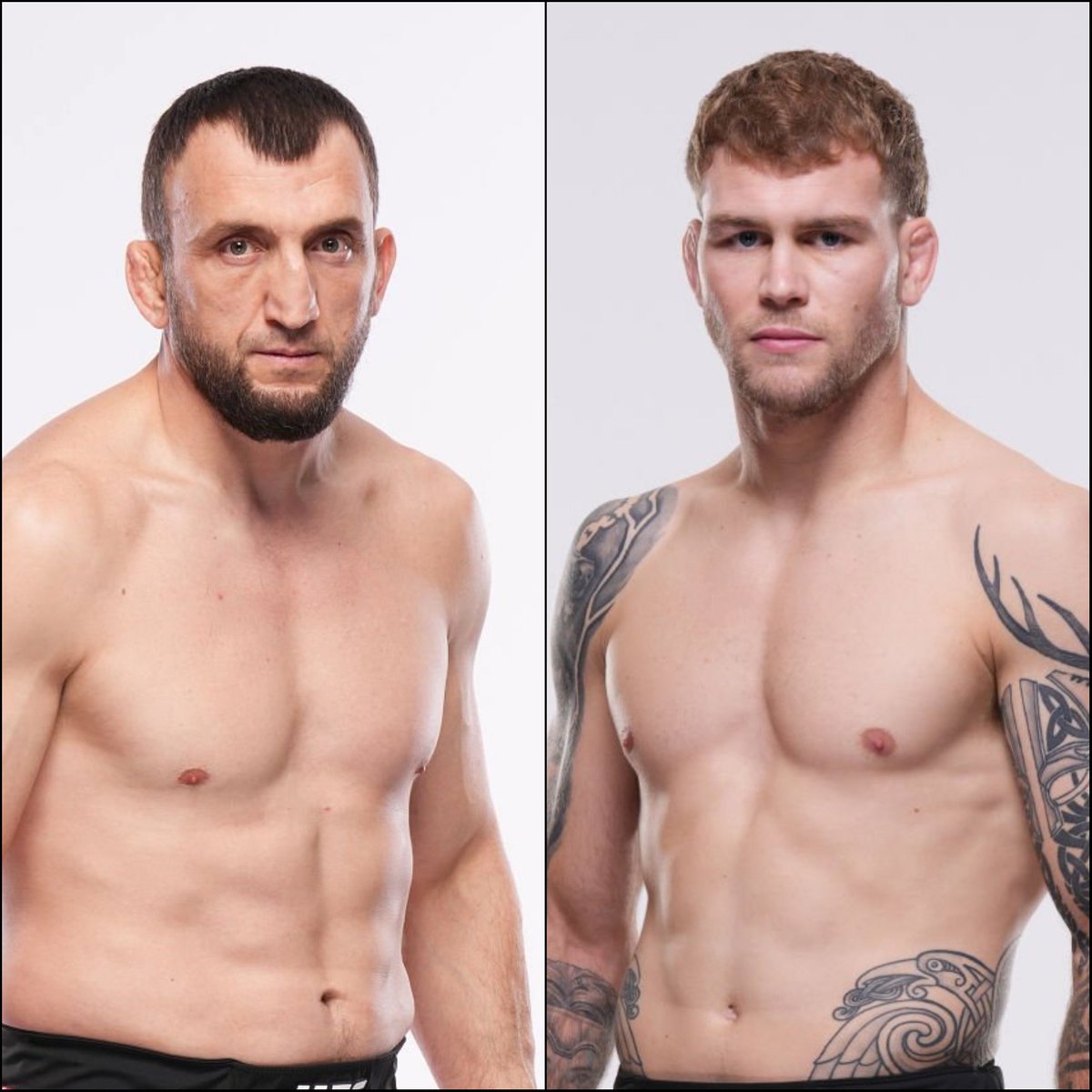 Marcel Dorff 🇳🇱🇮🇩 tweet media