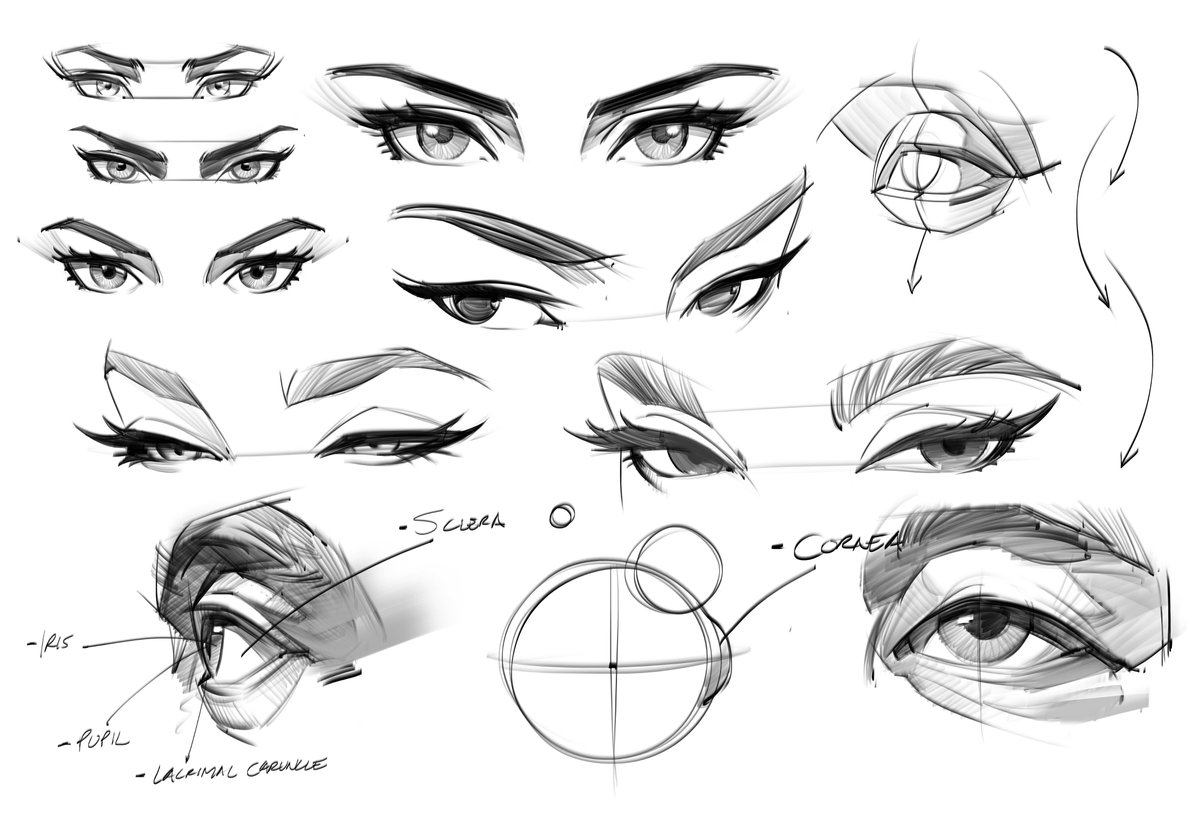 saqomolo's tweet image. Eye sketches! #sketches #eyes #humananatomy #anatomy #iris #pupil #eyelashes #sultry #eyeballs #gottogetbetter #goals #drawing #art #figuredrawing #doodles