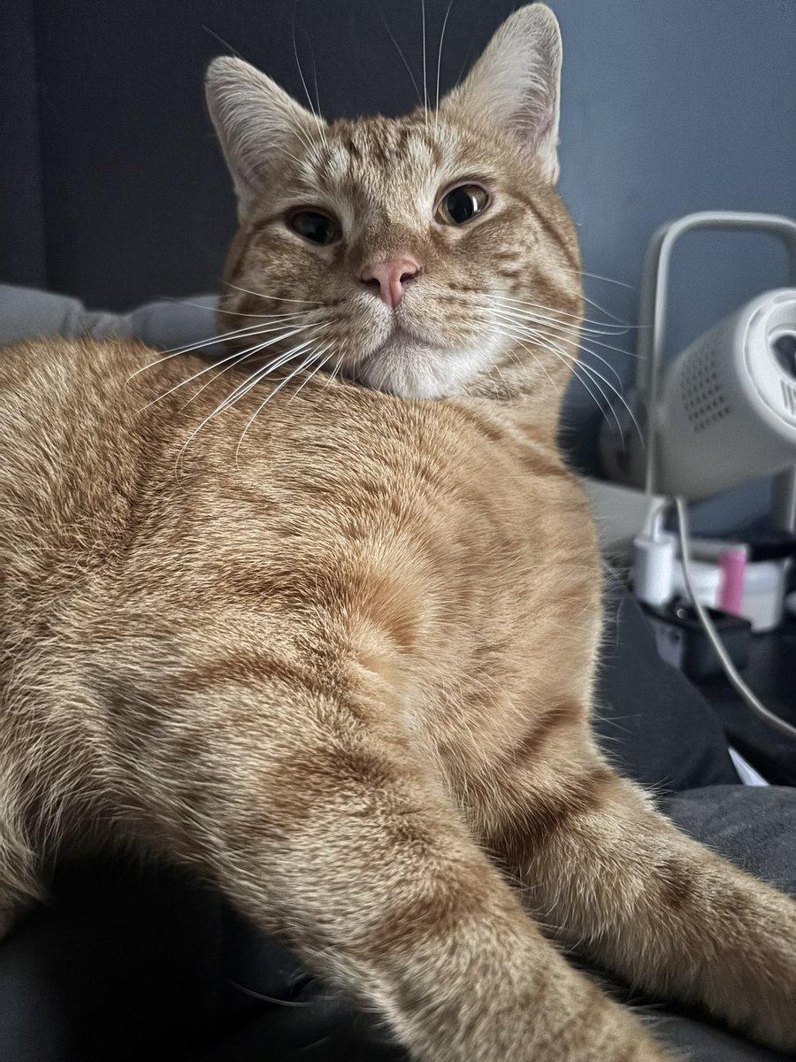 diaz ༉ tweet media