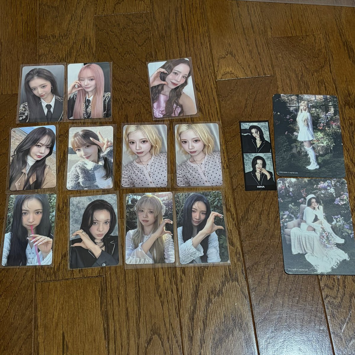 りーちゃん（まゆか命名） tweet media