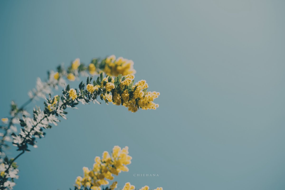 ただ、綺麗だった