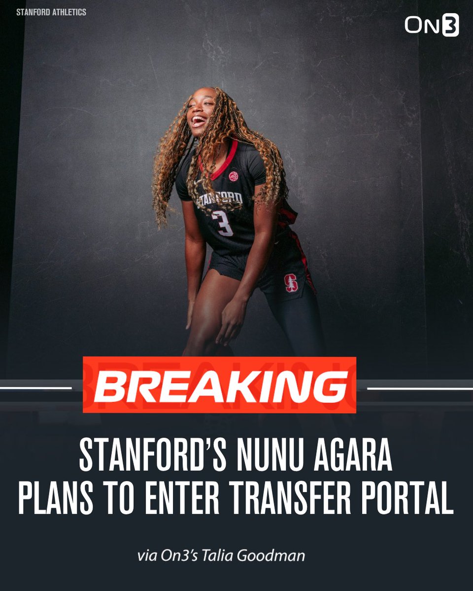 Talia Goodman tweet media