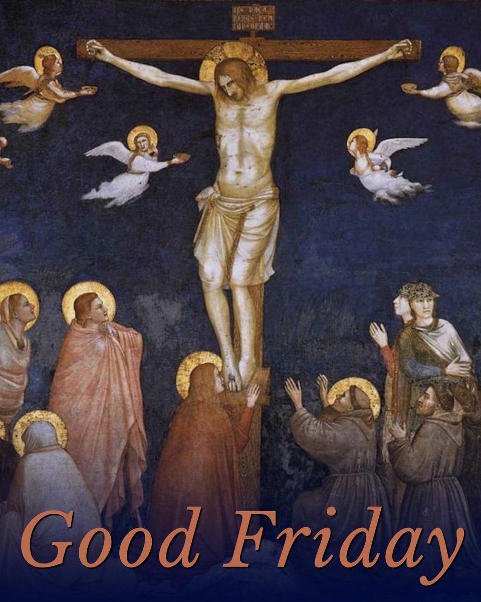 Rep. Mark Alford tweet media