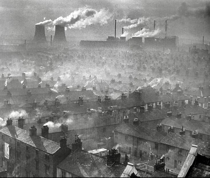 Vinnie Sullivan tweet media