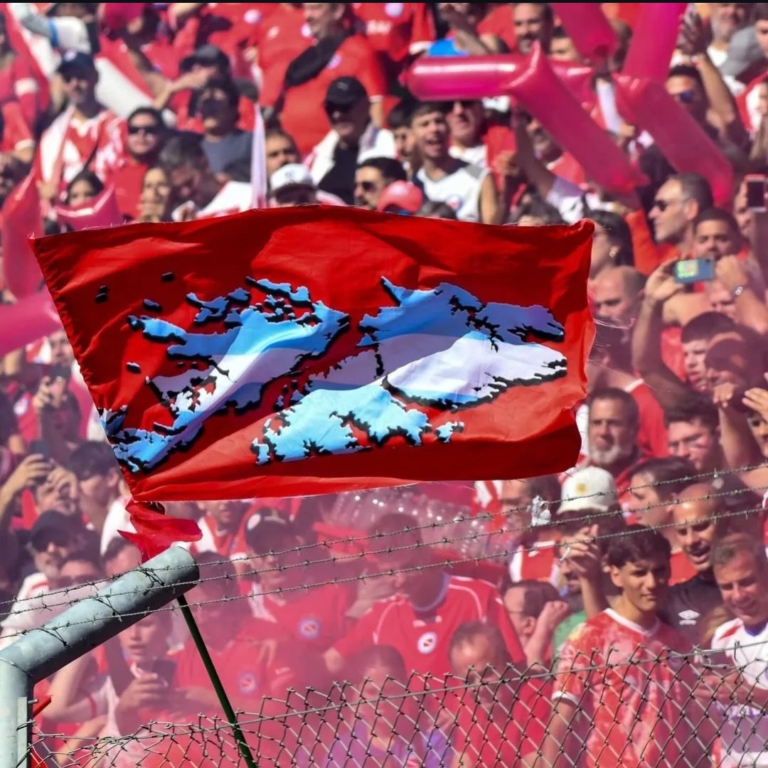 Momentos del bicho tweet media