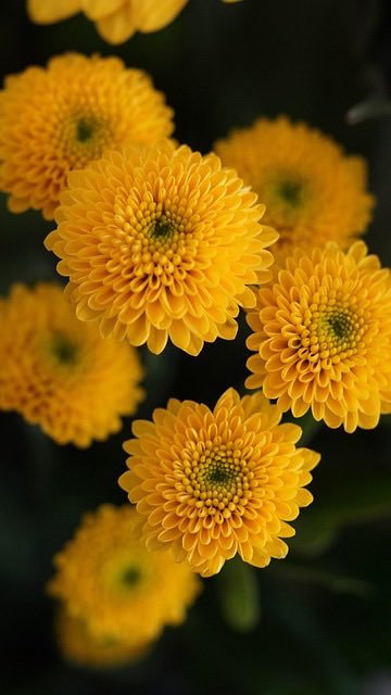 dr.AAA 🇸🇦 tweet media