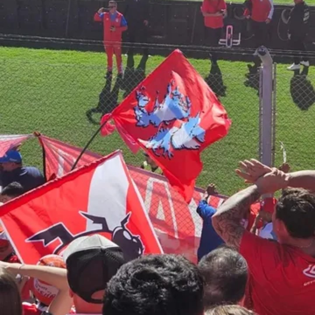 Momentos del bicho tweet media