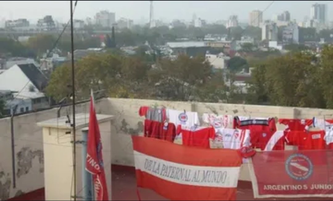 Momentos del bicho tweet media