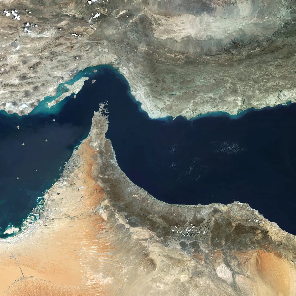 海阔天空 tweet media