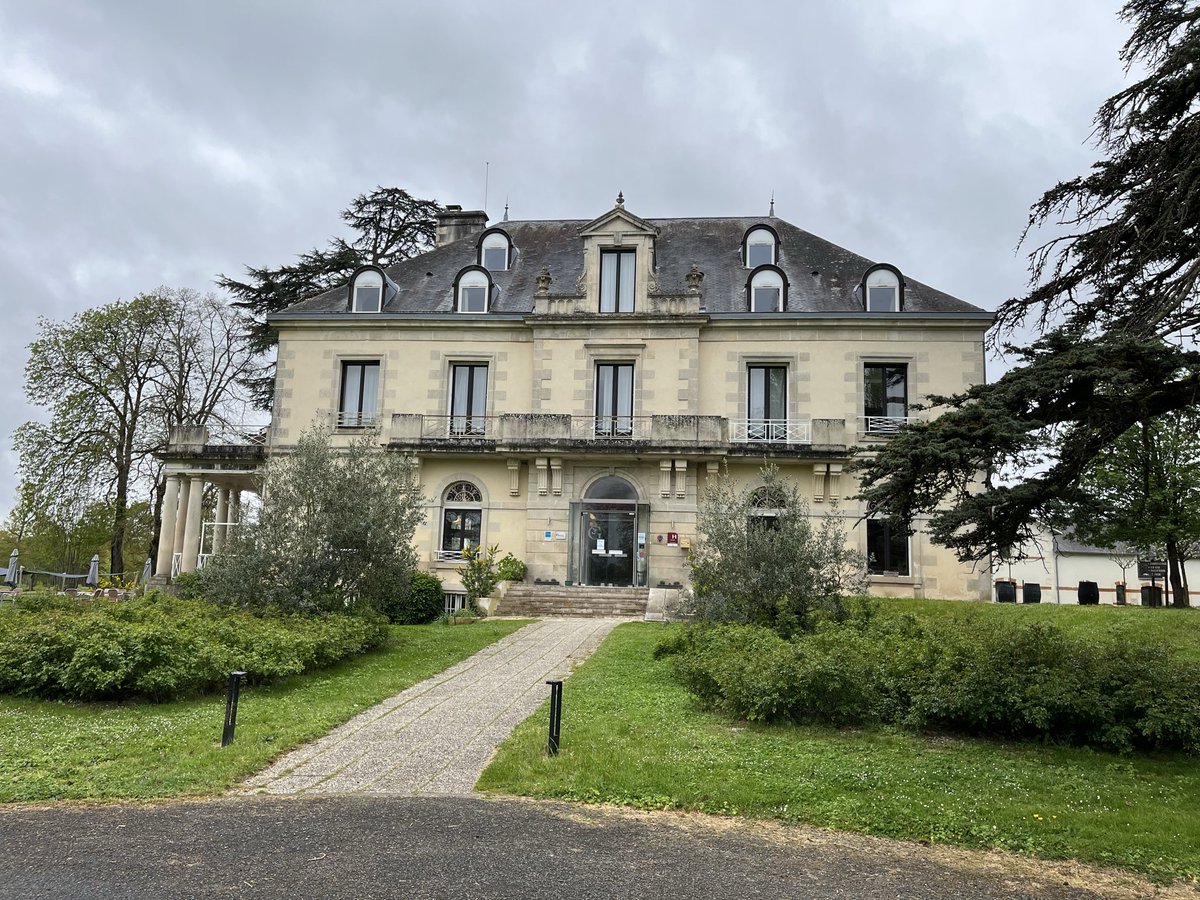 HooK Esport tweet media