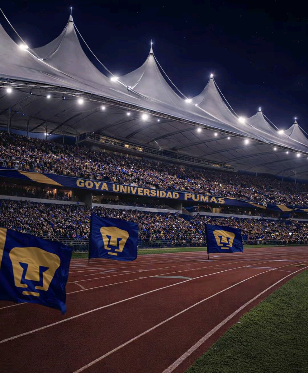 ESTADIOSdeMÉXICO tweet media