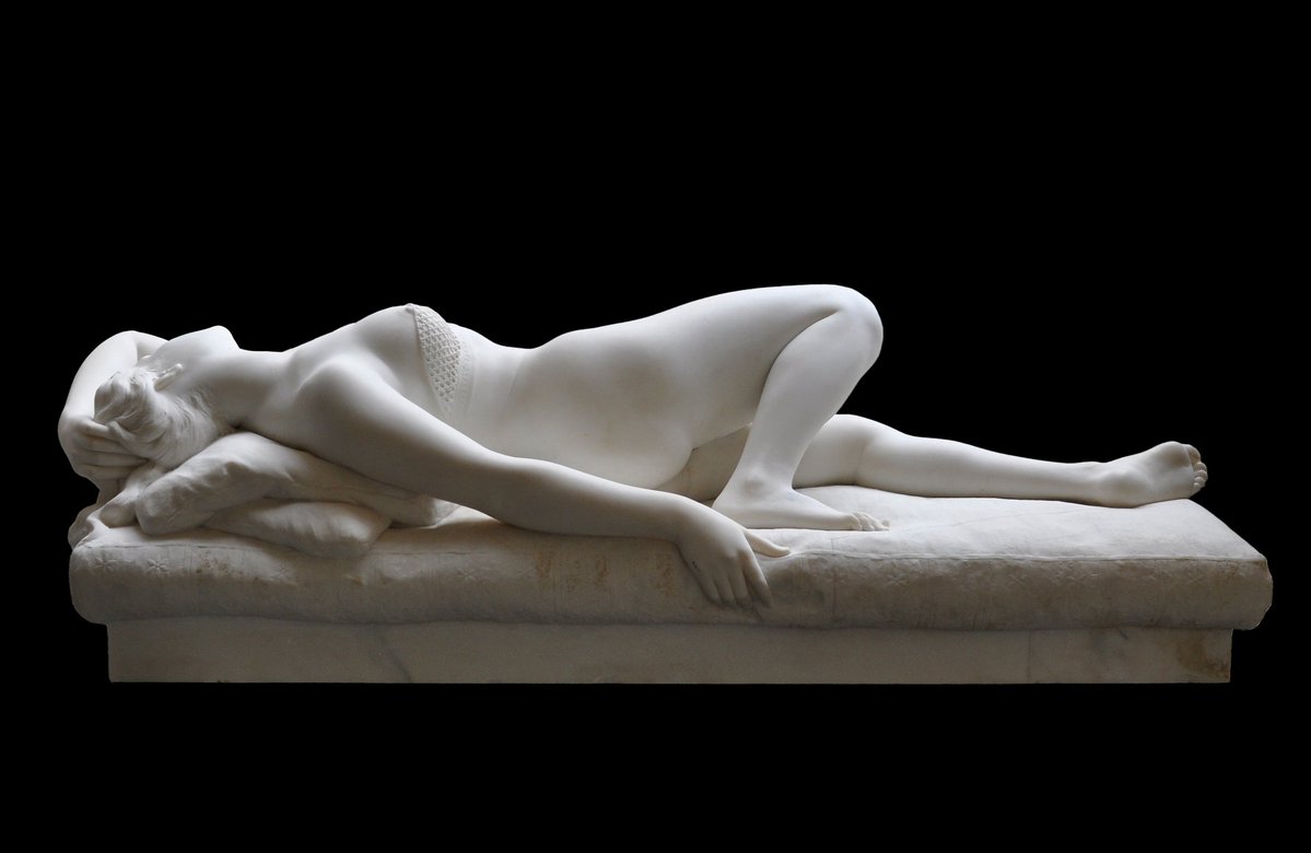 SuperLapin 🐌 tweet media