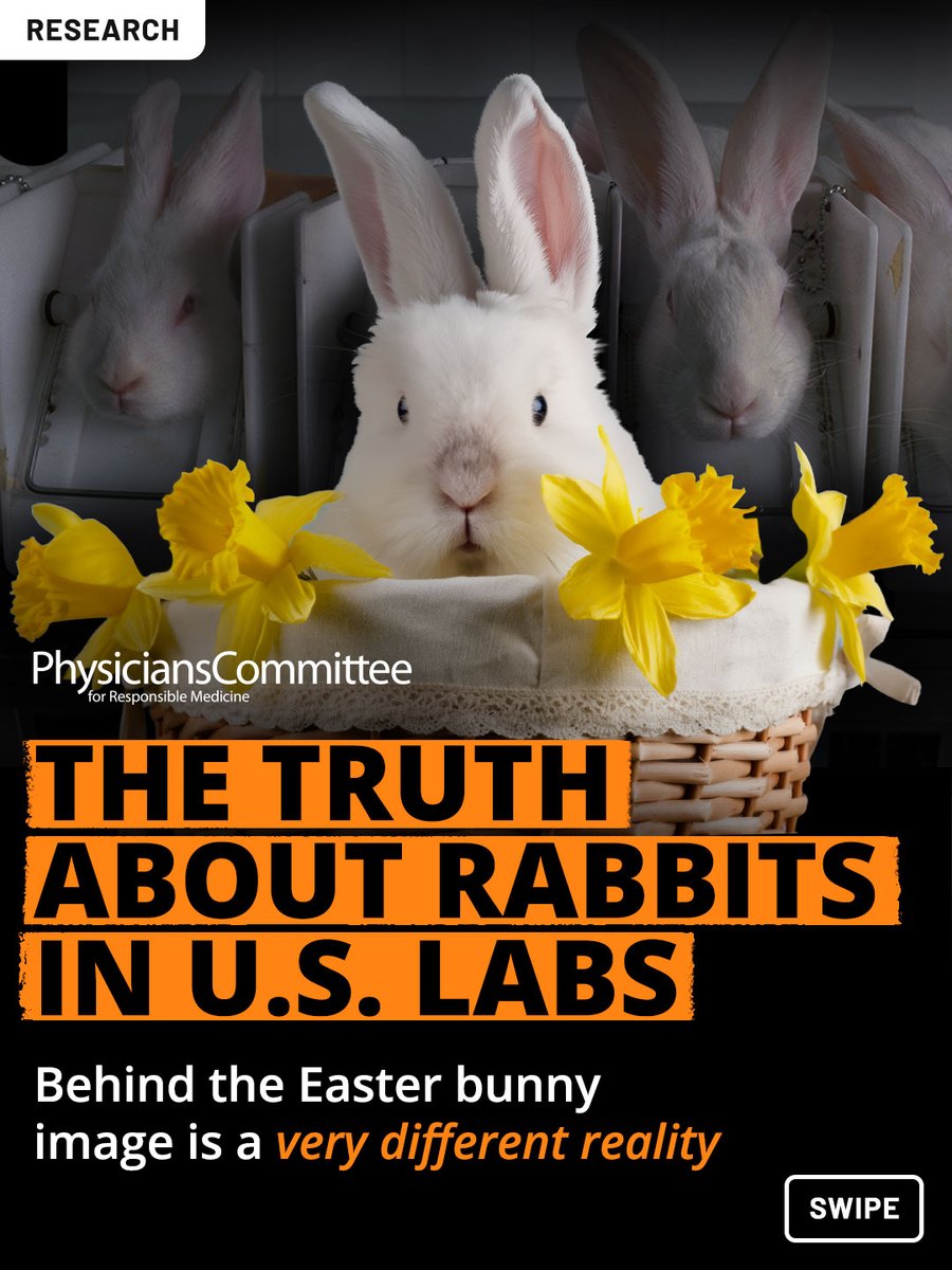 Physicians Committee tweet media