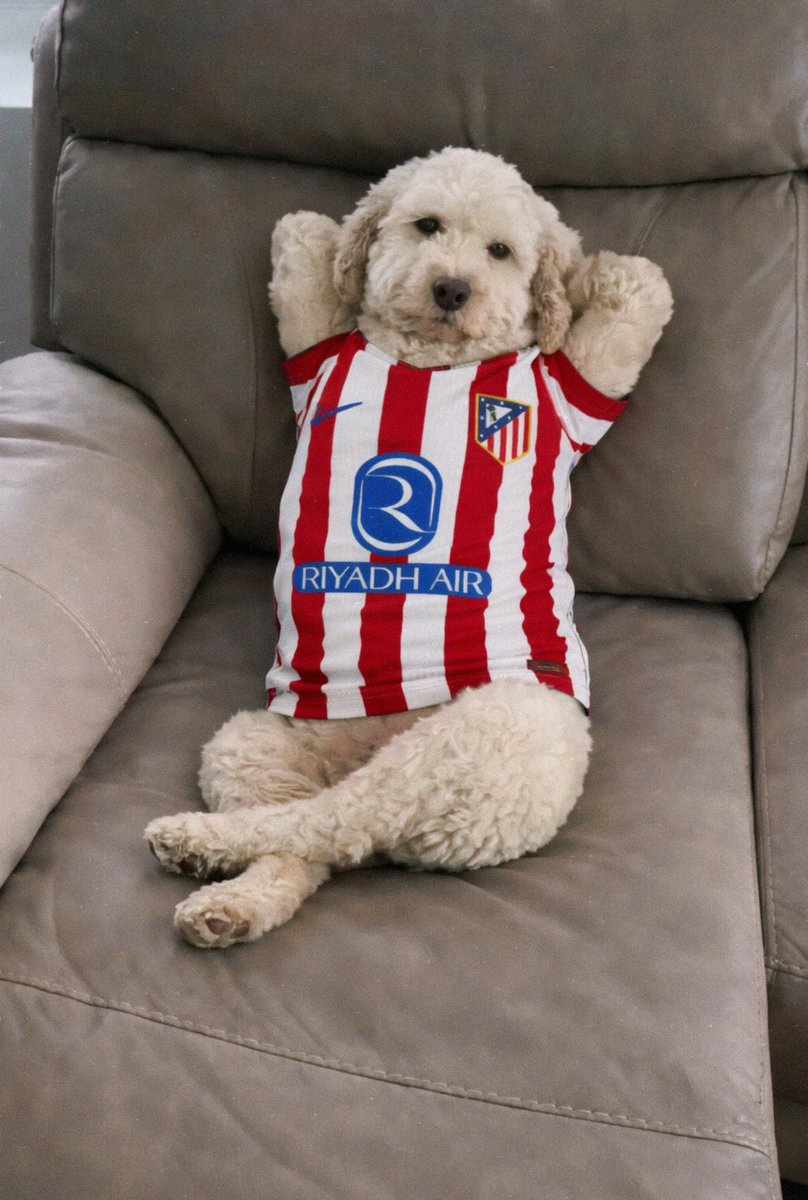 maldidown tweet media