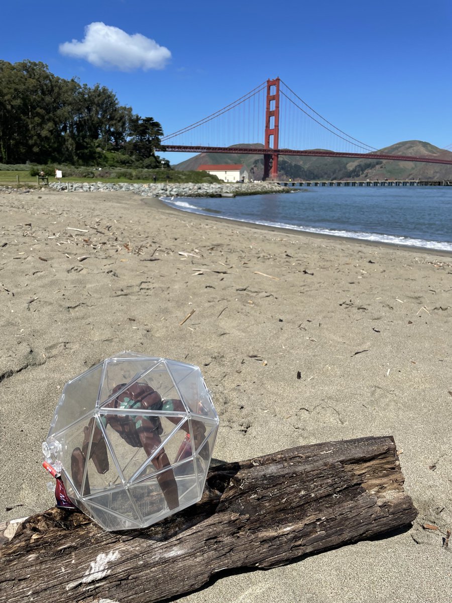 Jessica 🌙✨🏔🐶🐱🍊 tweet media