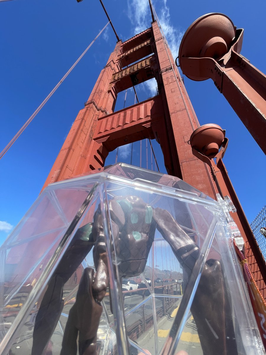 Jessica 🌙✨🏔🐶🐱🍊 tweet media