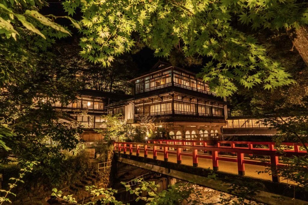 ちゃんほた🌸 tweet media