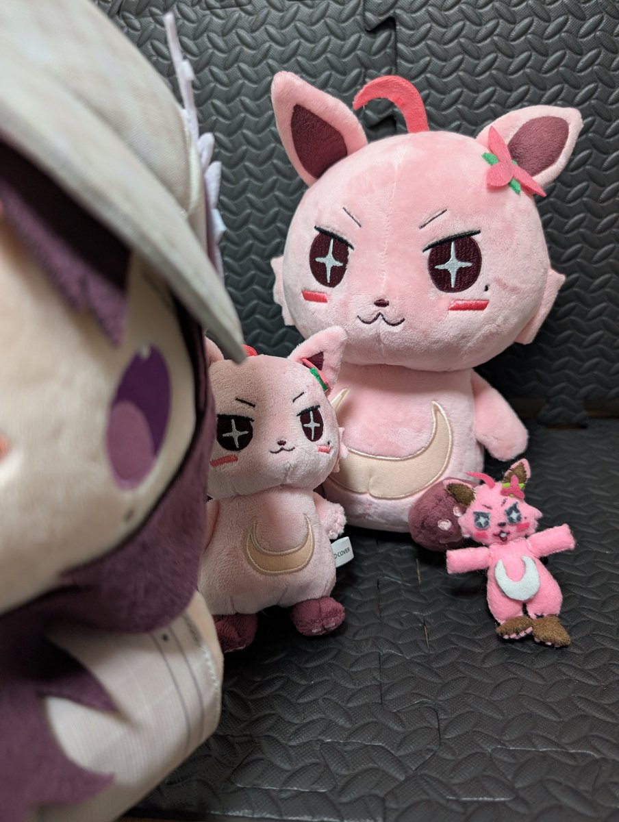 555gh🌽（ファイズ）（挟んでおいたよ、　君は今日からもふもふだ。 ） tweet media