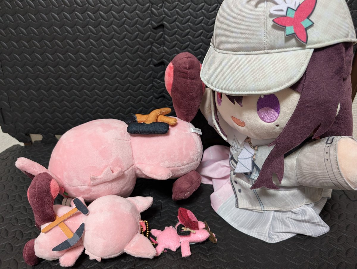 555gh🌽（ファイズ）（挟んでおいたよ、　君は今日からもふもふだ。 ） tweet media