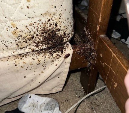 𝓜𝓾𝓻𝓹𝓱𝔂🎙️𝓣𝓪𝓵𝓴𝓼 tweet media