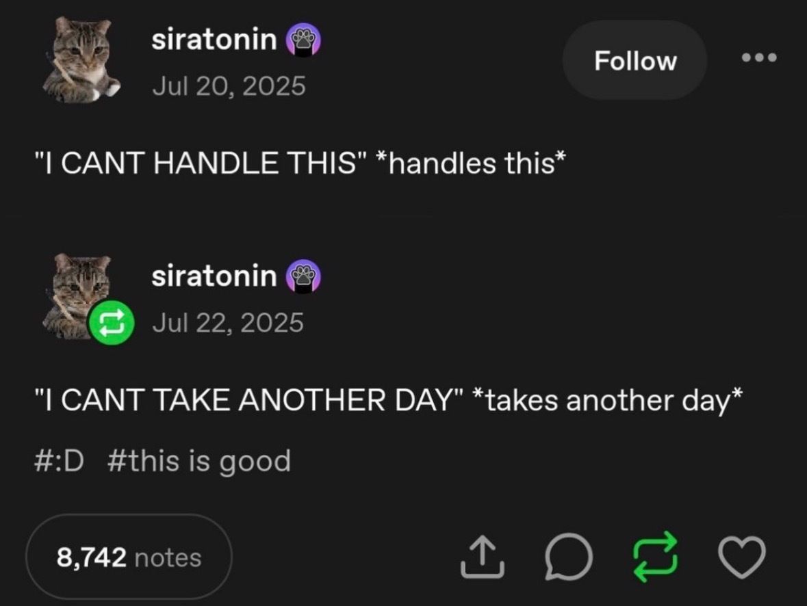 no context memes tweet media