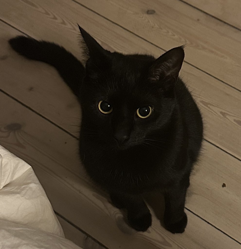 Yuriana🥭 tweet media