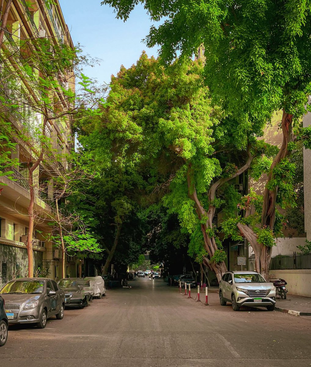 Griffin. tweet media