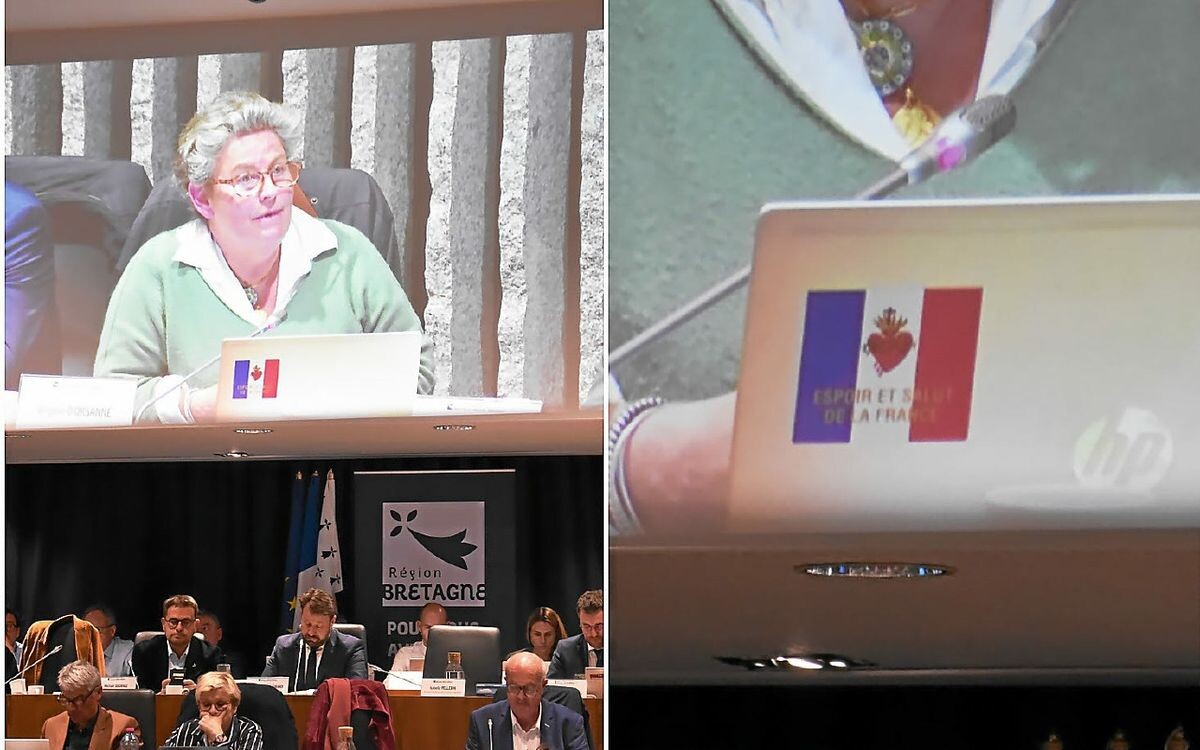 Fdesouche.com est une revue de presse tweet media