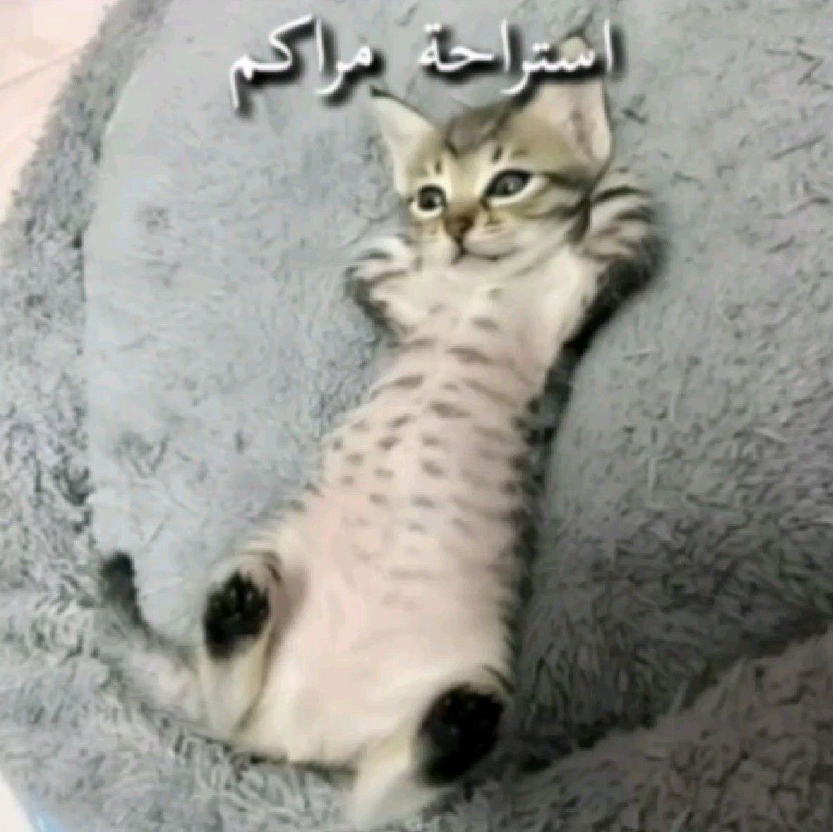 espress1o's tweet photo. مراكم اول https://t.co/44LD4G5WqB