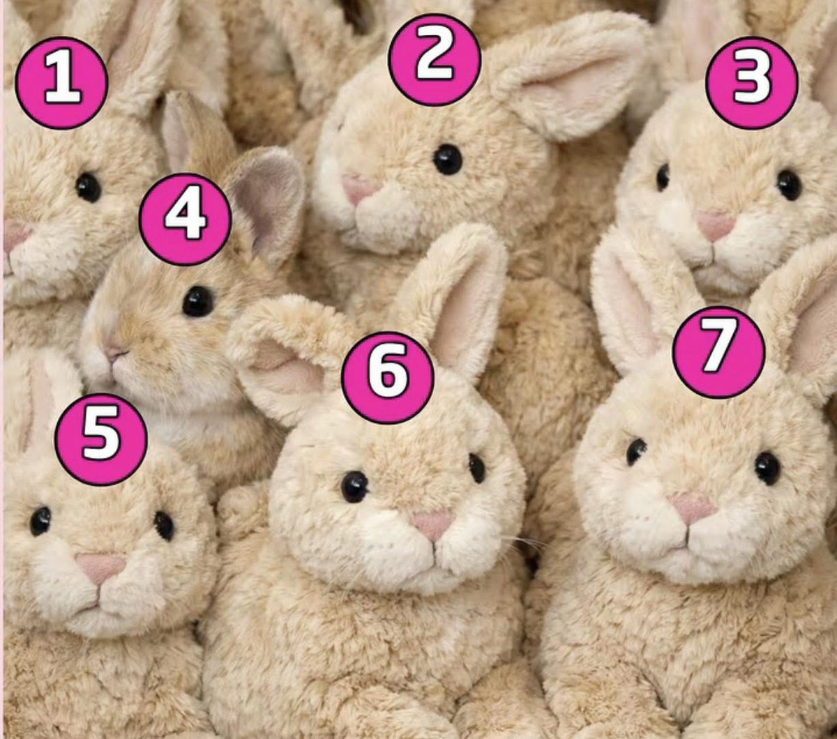 Eliane Dalla Valle tweet media