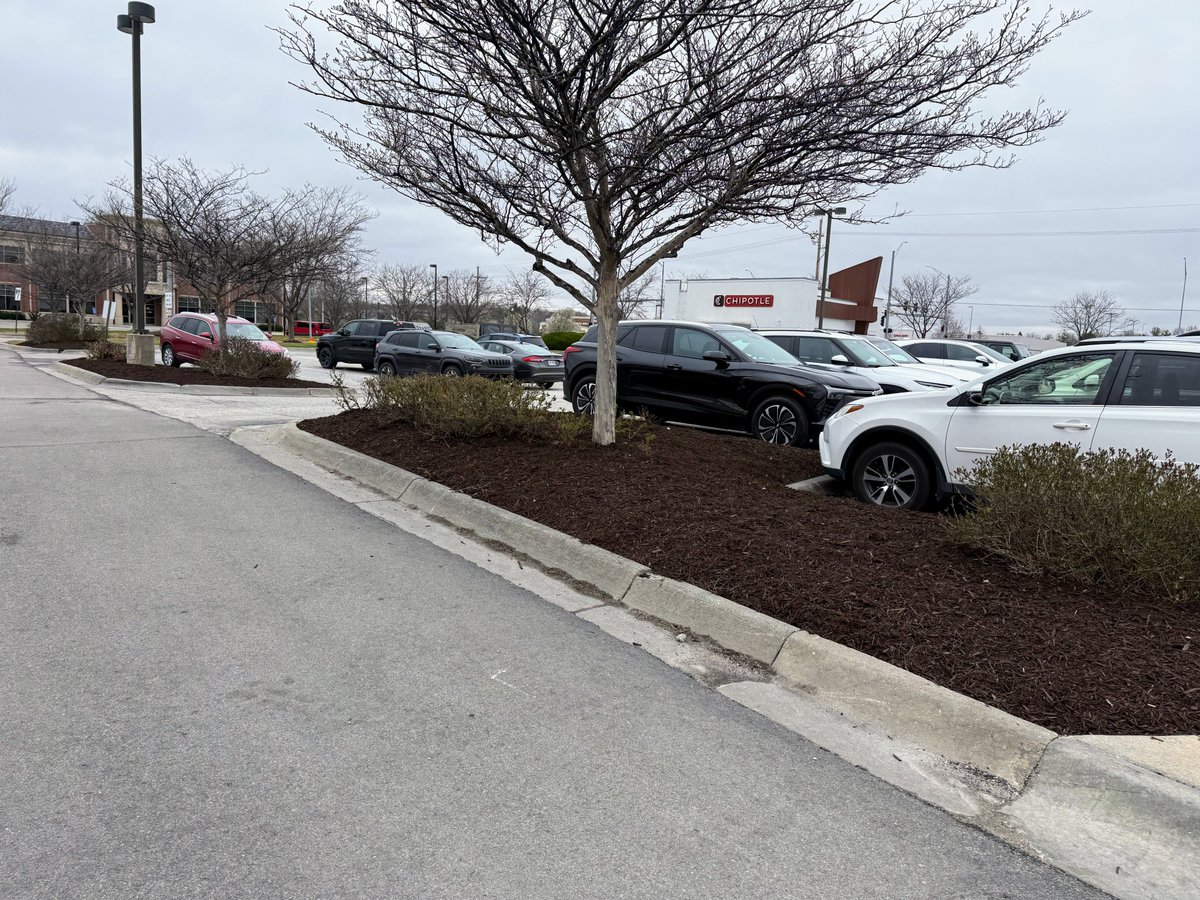 julzabovebeyond's tweet photo. Busy mulching around Omaha, making those islands and beds look amazing for spring! https://t.co/YgL7EOvLxY