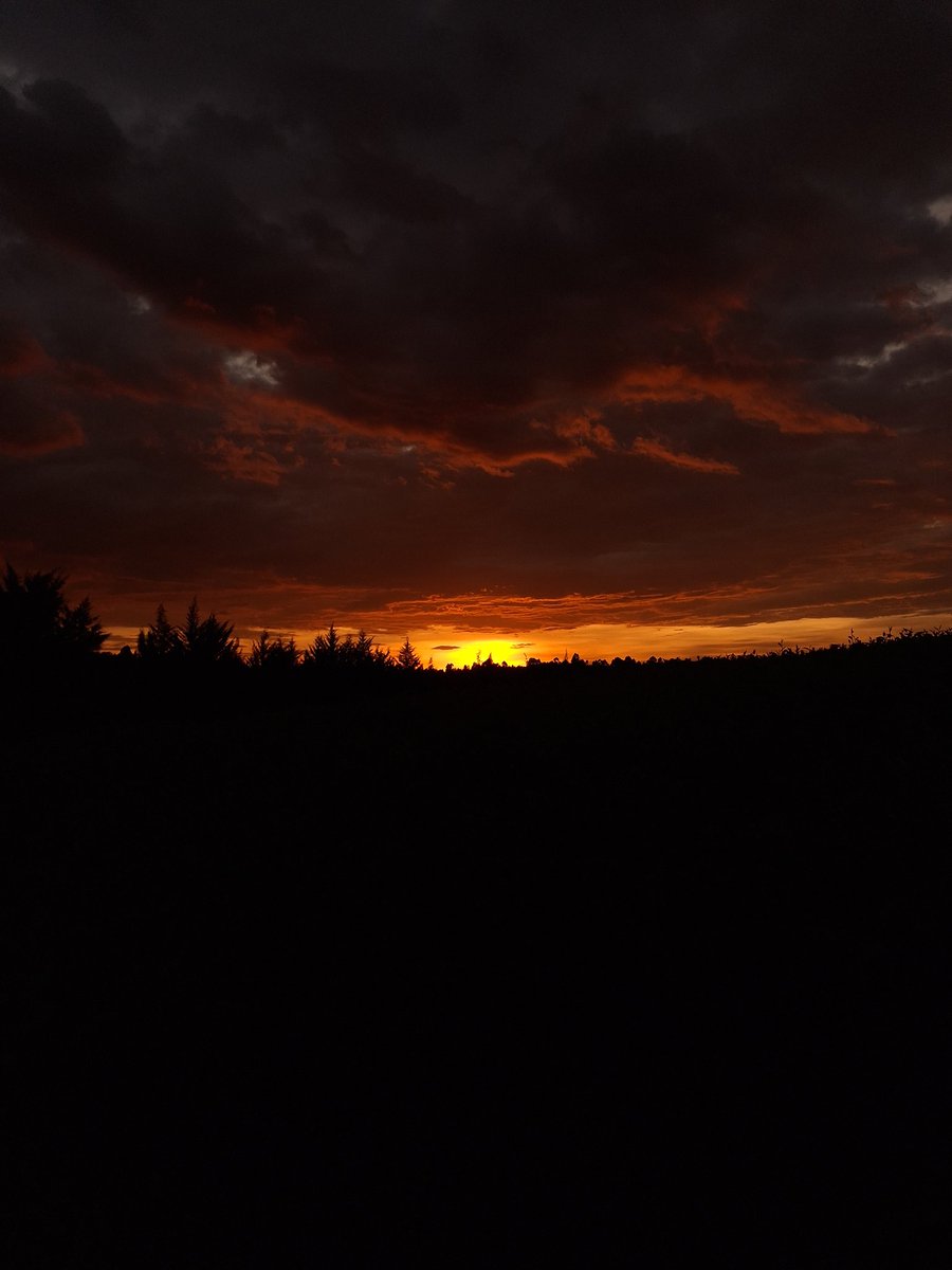 G.Terer_ 🐃 tweet media