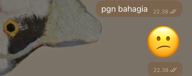 dilacode tweet media