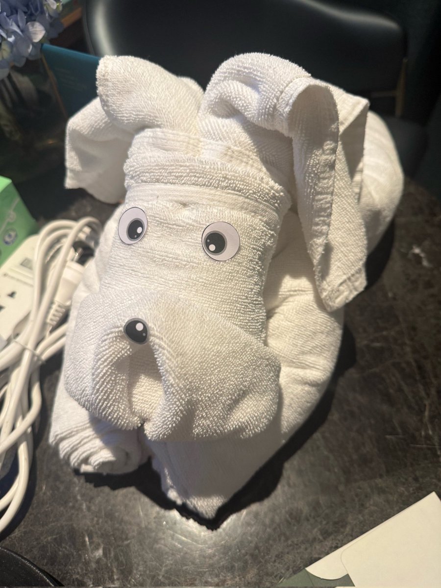 고고마 tweet media