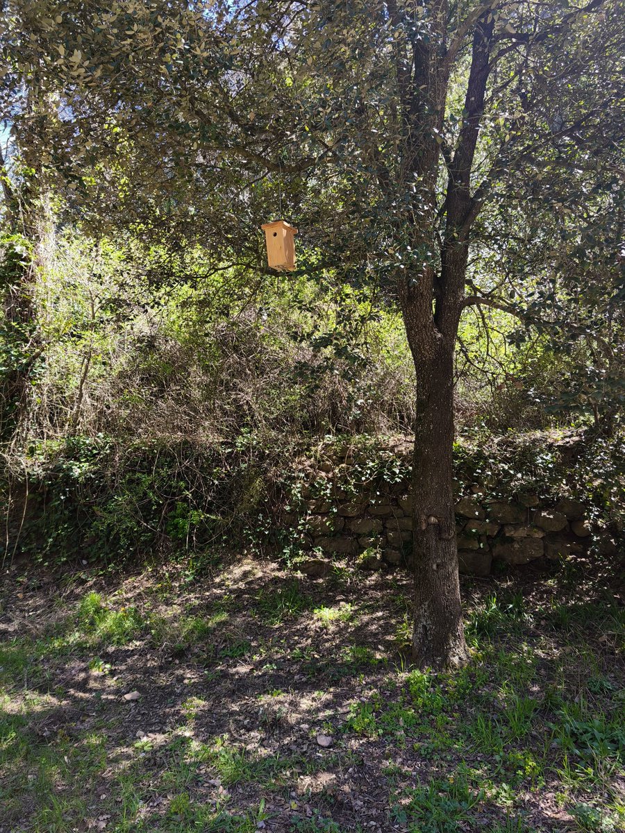 María Sender 🐺🇮🇪🔻💜 🌈 🍉 tweet media