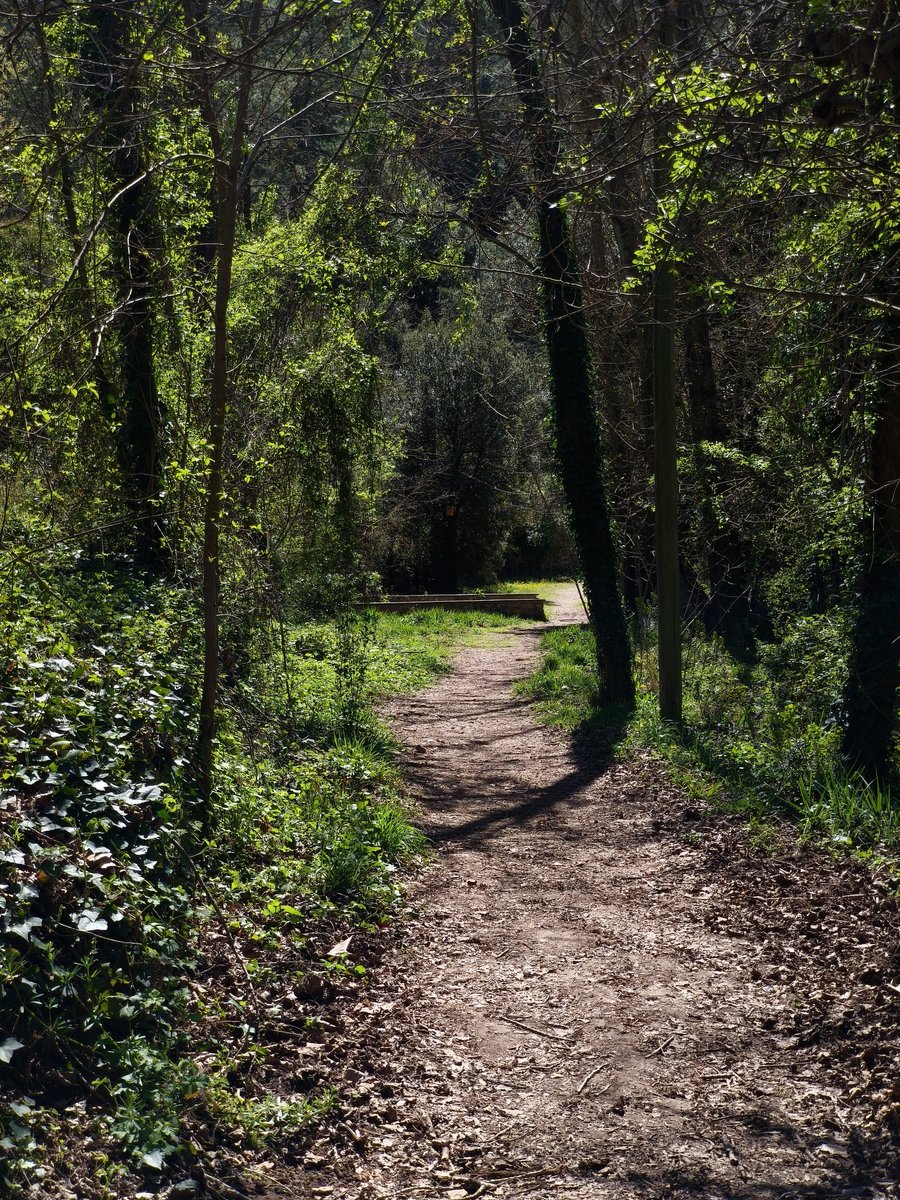 María Sender 🐺🇮🇪🔻💜 🌈 🍉 tweet media