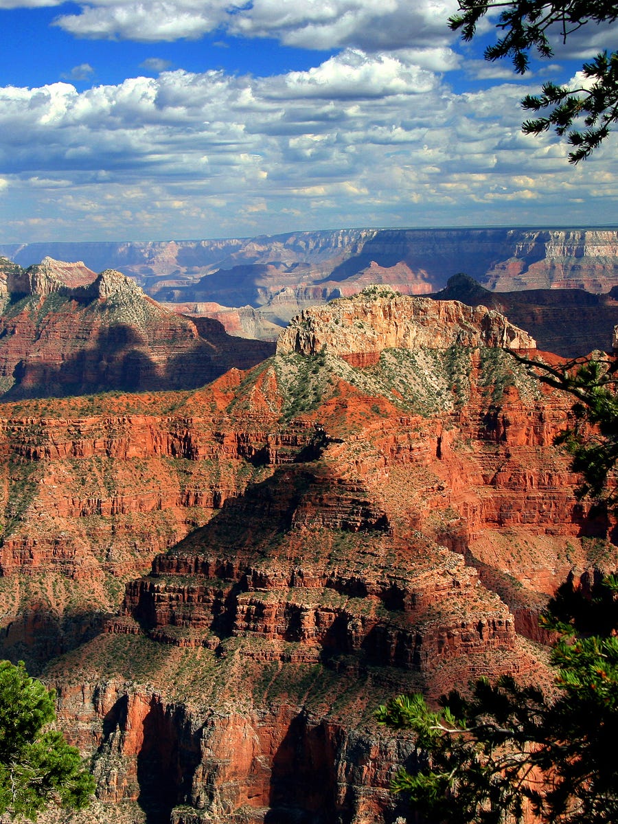 🇺🇲SHaRoNeY🇺🇲 tweet media