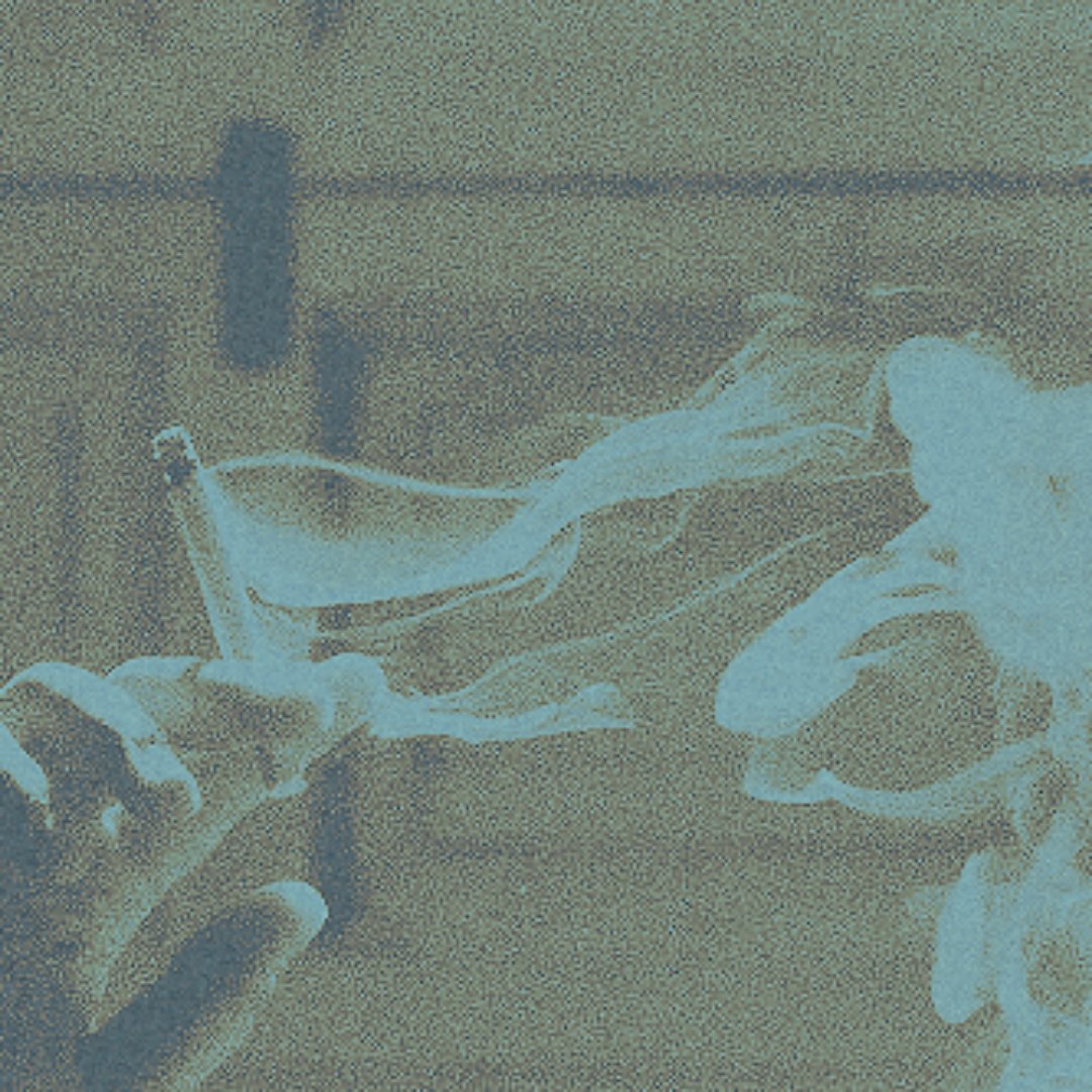 ✩ ⋆ ˚｡𝓸 . 𝓫𝓵𝓪𝓬𝓴 .ᐟ tweet media