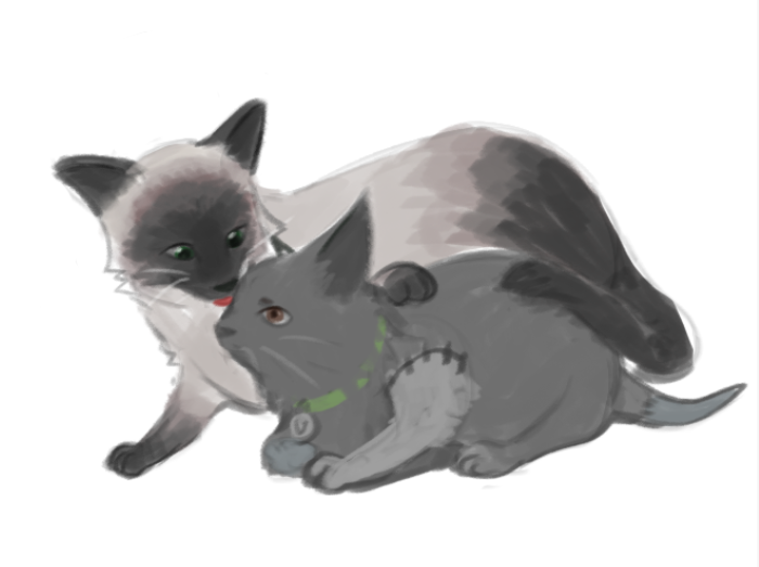 🌷🌷🌷Jung 🌷🌷🌷 tweet media