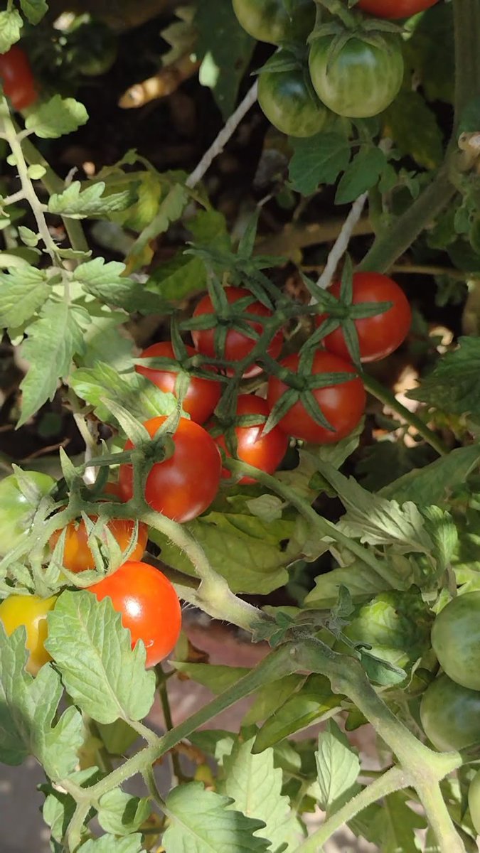 Kayne Trust🌸🦋✨ tweet media