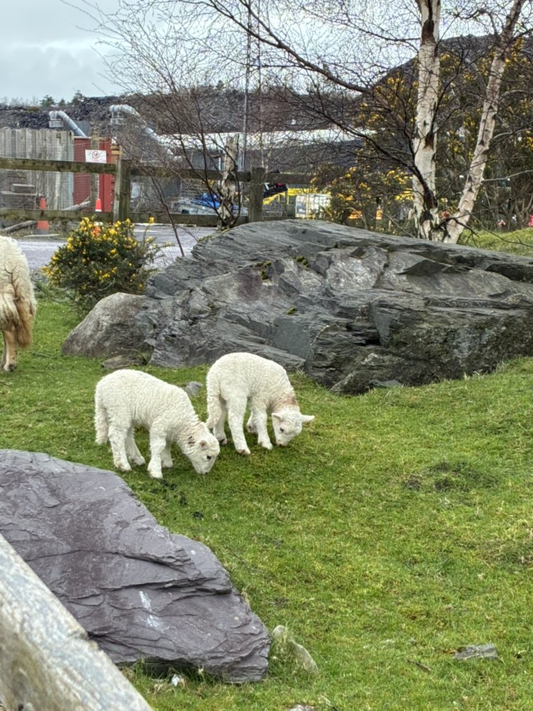 Janet 🇲🇽✨ tweet media