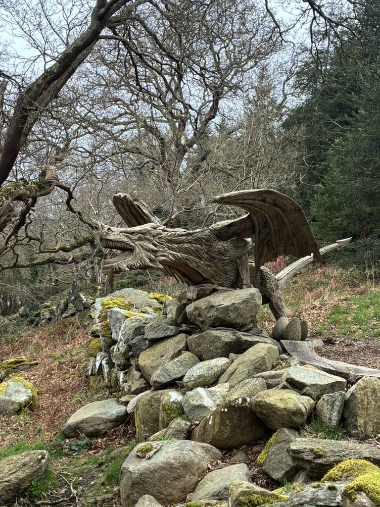 Janet 🇲🇽✨ tweet media