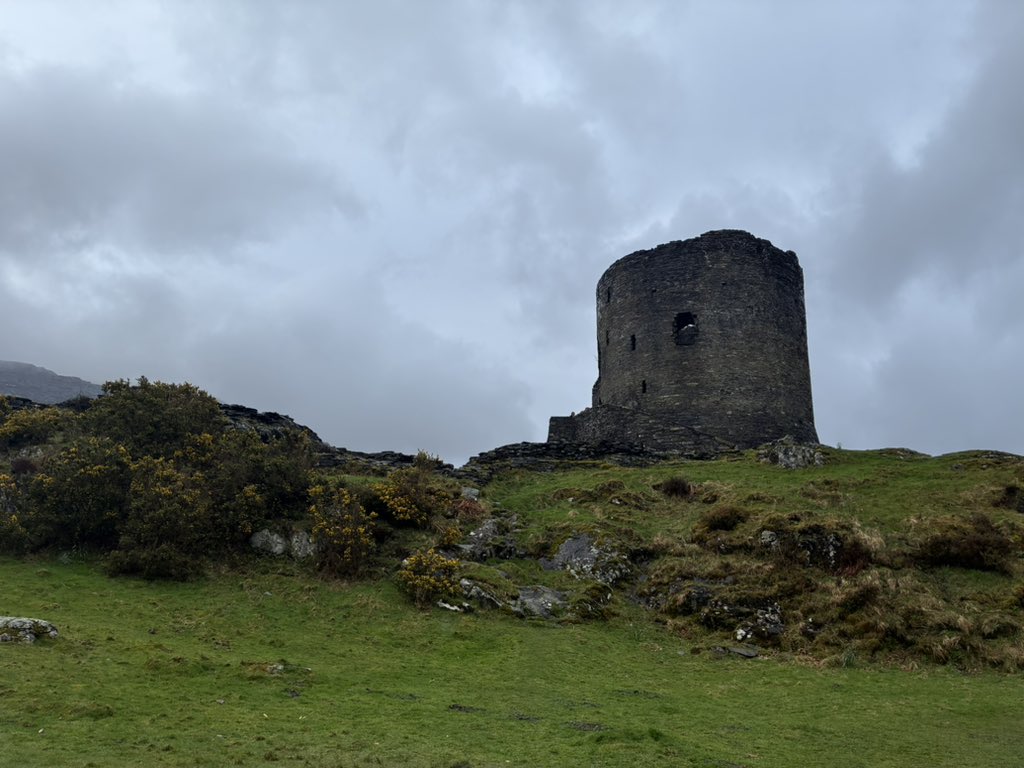 Janet 🇲🇽✨ tweet media