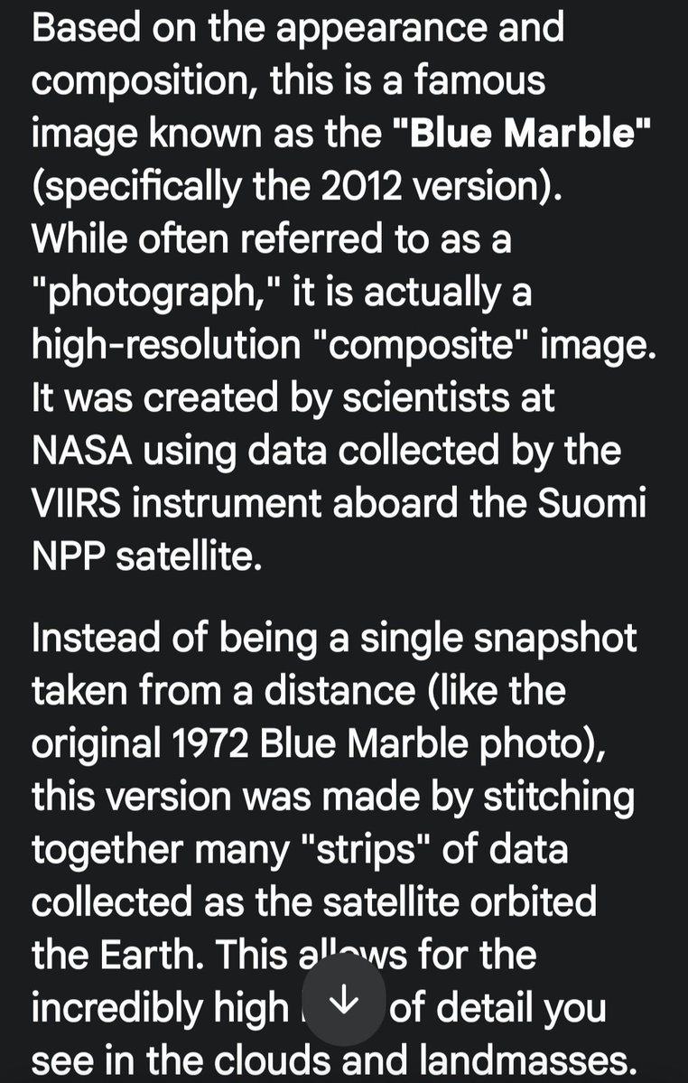 ✨️AreOhEssEyeEe✨️ tweet media