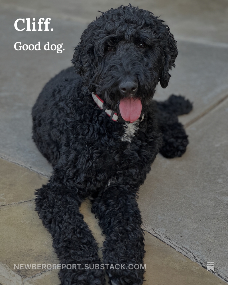 Jamey Newberg tweet media