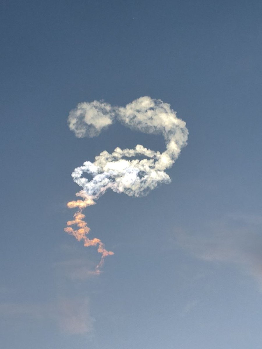 راحیل tweet media