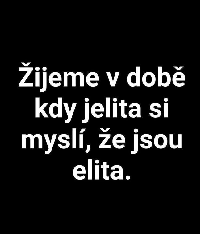 Michal Ricka 🦁 🇨🇿🇫🇮🇷🇴🇸🇰🇮🇱🇸🇪🇧🇻🇩🇰 tweet media